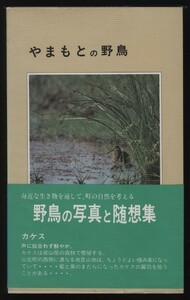 ya.... дикая птица гора изначальный блок. растения . сырой исследование .( Miyagi префектура гора изначальный блок 183 вид 