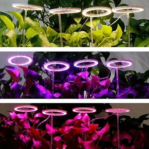 屋内 植物栽培用 ランプ フルスペクトル USB フィト 単天使リング付き dc5v