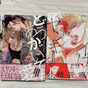 どうあがいても愛 よくイけましたヤンキーくん 初版本 2冊セット