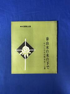 CH677p●【パンフレット】 劇団演集公演 「泰山木の木の下で わたしたちの明日は」 1969年 市村将之/若尾隆子