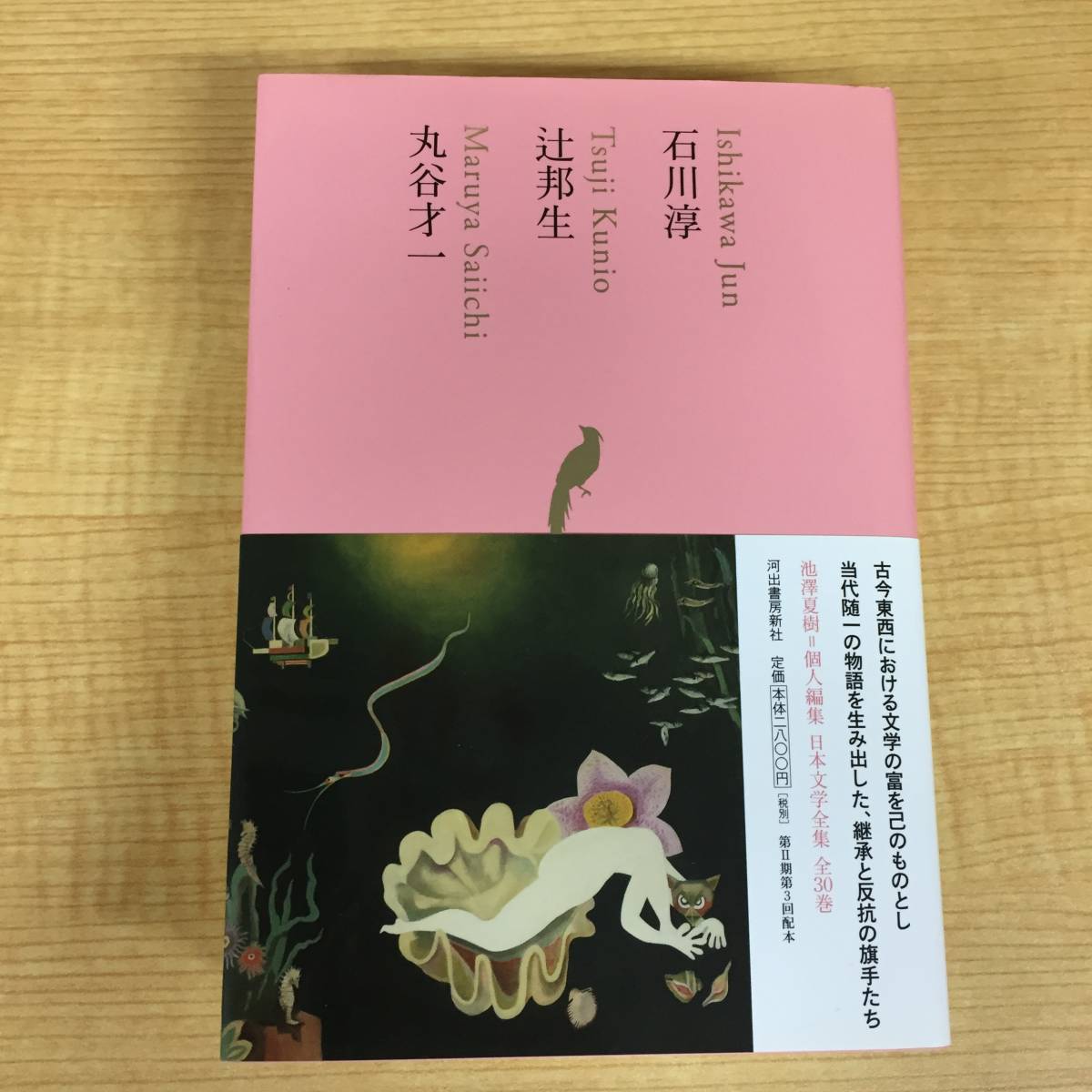 2023年最新】Yahoo!オークション -日本文学全集 河出書房新社の中古品