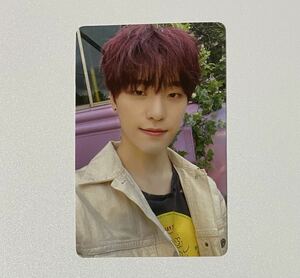 SEVENTEENtinoYour Choice China yon ton trading card DINO Photocard