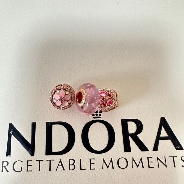 PANDORAパンドラチャーム 新品