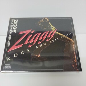 未開封 新品 ＲＯＣＫ ＡＮＤ ＲＯＬＬ ＦＲＥＥＤＯＭ！ ／ＺＩＧＧＹ