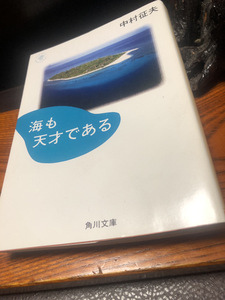 【海も天才である・中村征夫】写真　フォト　エッセイ　世界の海角川文庫【23/08 ST7】