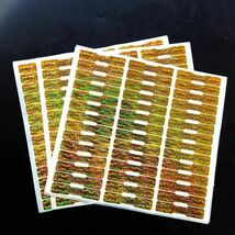 改ざん防止 ホログラムシール 金 シリアル番号付き 100Pcs セキュリティー ラベル ステッカー ５cm×1cm 高品質 在管理などに…。 H614_画像5