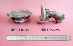 ★値下げ★　古唐津　刷毛目　窯道具　くっつき陶片　発掘品