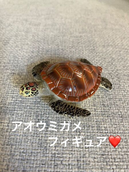 人気 アオウミガメ フィギュア