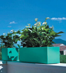  Italy made design planter Minica seta Cube L50cm NE2828 resin made lovely stylish flower pot [ special sale goods ]