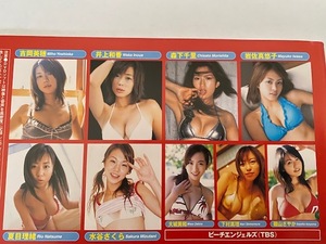 ◆即決◆　磯山さやか．井上和香．吉岡美穂．森下千里．岩佐真悠子．大城美和．夏目理緒．水谷さくら　　付録ＤＶＤ