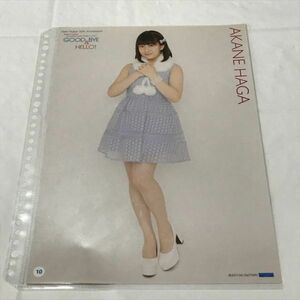 B12257 ◆羽賀朱音 モーニング娘 A4サイズ ピンナップポスター