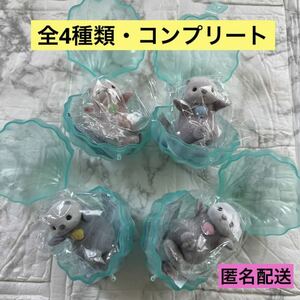 【新品 未使用】おてて、つなごうね。 らっこ ラッコ 貝がらケース入り ガチャ ガチャガチャ カプセルトイ コンプリート コンプ 全種