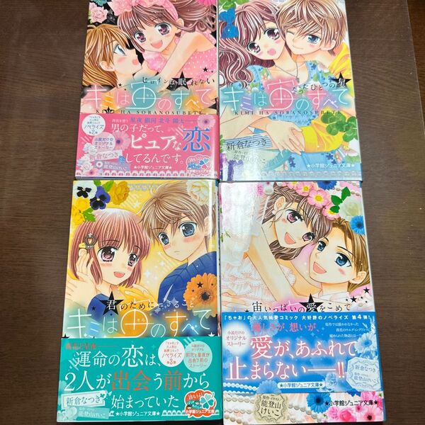 キミは宙(そら)のすべて たったひとつの星 (小学館ジュニア文庫) 新倉なつき/著 能登山けいこ/原作・イラスト