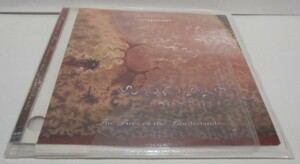 ソフトケース入り US盤 CD　RAPOON The Fires Of The Borderlands　実験 アンビエント