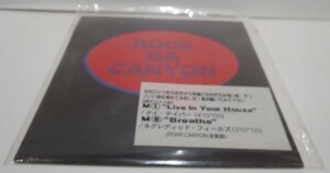 CD　ロックだキャニオン　ROCK DA CANYON　TV TABOR / JEKYLL & HYDE / TOWER CITY / DOMINION / NEGLECTED FIELDS