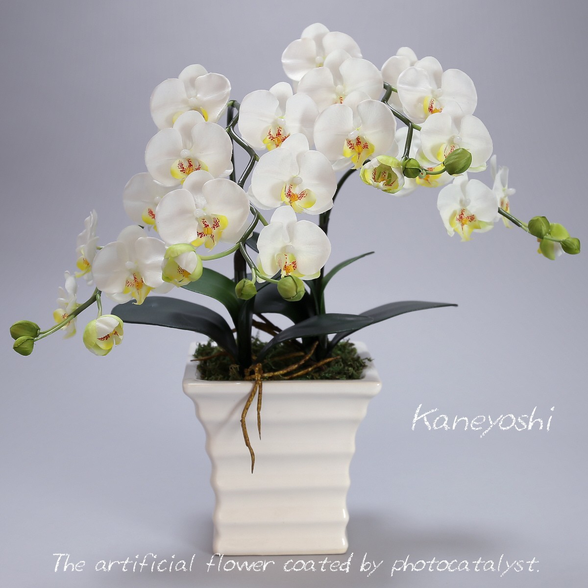 Photocatalyst Phalaenopsis Artificial Flower Interior Small Flower 2 Stems White B White Color Celebration Gift Souvenir Birthday Presentation New House Opening Flower Fake Green Air Purifier, Handcraft, Handicrafts, Art Flower, Pressed flowers, Finished Product