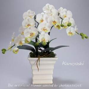 Art hand Auction Photocatalyst Phalaenopsis Artificial Flower Interior Small Flower 2 Stand White B White Celebration Gift Souvenir Birthday Recital New Construction Opening Flower Fake Green Air Purifier, hand craft, handicraft, art flower, pressed flowers, Finished product