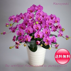 Art hand Auction Photocatalyst Phalaenopsis Artificial Flower Interior Small Flowers 5 Stems Violet Purple Celebration Gift Souvenir Birthday Presentation New House Opening Flower Fake Green Air Purifier, Handcraft, Handicrafts, Art Flower, Pressed flowers, Finished Product