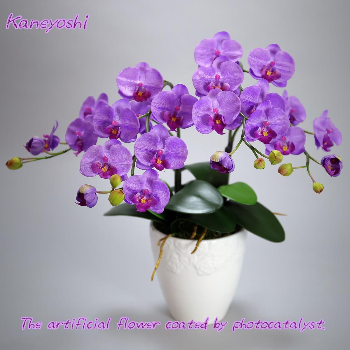 Photokatalysator Phalaenopsis Künstliche Blume Innen Kleine Blumen 2 Stiele Lila Feier Geschenk Souvenir Geburtstag Präsentation Neue Hauseröffnung Blume Gefälschte Grüne Luftreiniger, Handwerk, Kunsthandwerk, Kunstblume, Gepresste Blumen, Fertiges Produkt