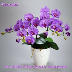  photocatalyst . butterfly orchid artificial flower interior small wheel 2 ps . purple purple . festival gift souvenir birthday presentation new building opening flower fake green air cleaning 