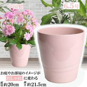 植木鉢 おしゃれ 安い 陶器 サイズ 20cm MBC19 6.5号 ピンク 室内 屋外 桃色