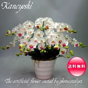 Art hand Auction Photocatalyst Phalaenopsis Artificial Flower Interior Small Flowers 5 Stems White A White Color Celebration Gift Souvenir Birthday Presentation New House Opening Flower Fake Green Air Purifier, Handcraft, Handicrafts, Art Flower, Pressed flowers, Finished Product