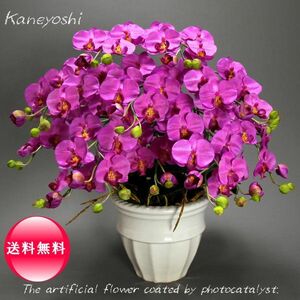 Art hand Auction Photokatalysator Phalaenopsis Künstliche Blume Innen Kleine Blumen 7 Stiele Violett Lila Feier Geschenk Souvenir Geburtstag Präsentation Neueröffnung Blume Gefälschte Grüne Luftreiniger, Handwerk, Kunsthandwerk, Kunstblume, Gepresste Blumen, Fertiges Produkt