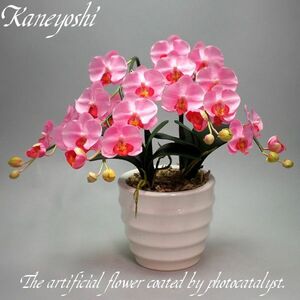 Art hand Auction Photocatalyst Phalaenopsis Artificial Flower Interior Small Flower 2 Stand Pink Pink Celebration Gift Souvenir Birthday Recital New Construction Opening Flower Fake Green Air Purifier, hand craft, handicraft, art flower, pressed flowers, Finished product