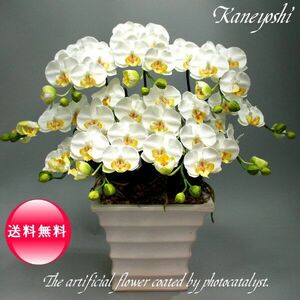  photocatalyst . butterfly orchid artificial flower interior small wheel 5ps.@. white B white color . festival gift souvenir birthday presentation new building opening flower fake green air cleaning 