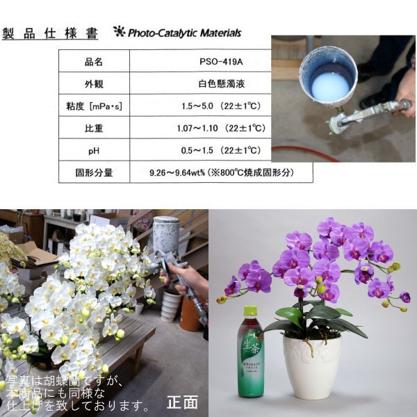 光触媒 胡蝶蘭 造花 インテリア 小輪 2本立 紫 パープル お祝 ギフト 記念品 誕生日 発表会 新築 開店 花 フェイクグリーン 空気清浄 光触媒 胡蝶蘭 造花 インテリア 小輪 2本立 紫 パープル お祝 ギフト 記念品 誕生日 発表会 新築 開店 花 フェイクグリーン 空気清浄