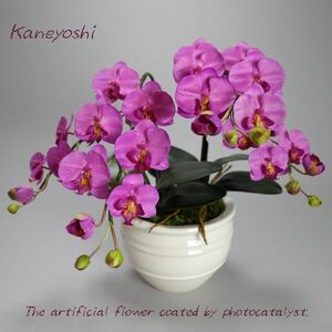 Art hand Auction Photokatalysator Phalaenopsis Kunstblume Innenbereich Kleine Blume 2 Stiele Violett Lila Feier Geschenk Souvenir Geburtstag Präsentation Neueröffnung Blume Gefälschte Grüne Luftreiniger, Handwerk, Kunsthandwerk, Kunstblume, Gepresste Blumen, Fertiges Produkt