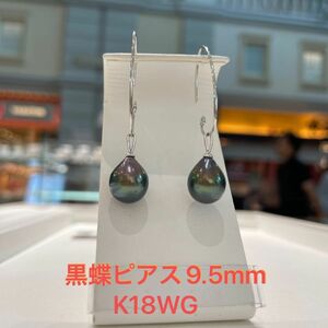 南洋真珠-黒蝶ピアス9.5mm K18WG