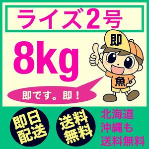 最速で発送します ライズ2号 8kg入り メダカの餌 送料無料