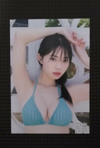 菊地姫奈　ランダムブロマイド　１枚　新品　未使用品　限定品　ブロマイド 　アイドル　グラビア　巨乳　水着　ビキニ　付録