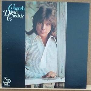 LP(俳優/歌手・’72年2月盤・希少) デビッド・キャシディー DAVID CASSIDY / チェリッシュ Cherish【同梱可能6枚まで】050824