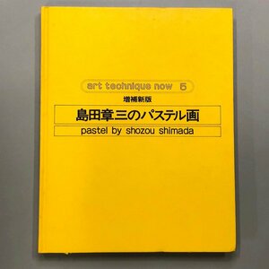 『島田章三のパステル画』art technique now 5 増補新版　