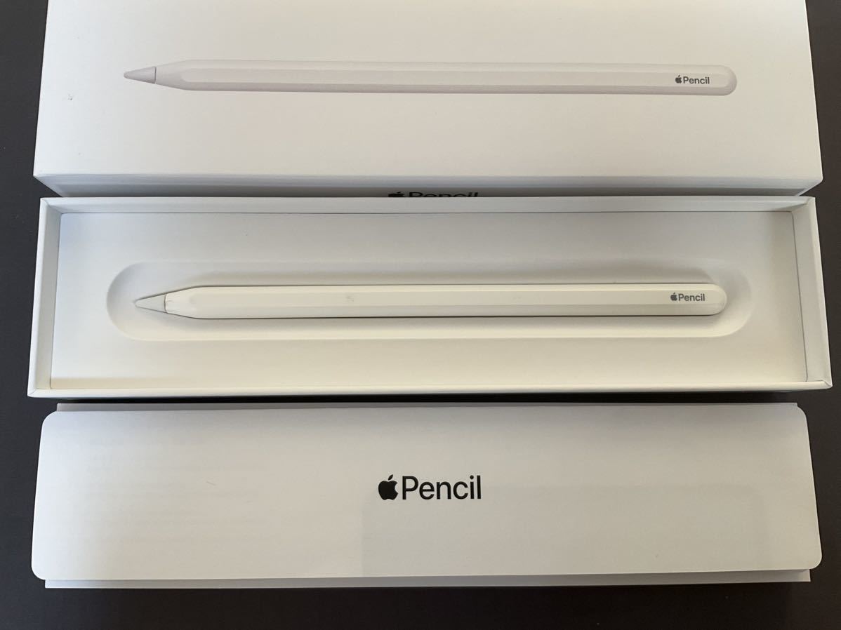 2023年最新】ヤフオク! -apple pencil 2の中古品・新品・未使用品一覧