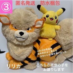 【完売品レア】新品ポケモンセンターオキナワ 限定 ぬいぐるみウインディとピカチュウ ポケモン