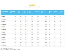 ACデルコ バッテリー タント L385S プレミアムEFB EFBM-42 カーバッテリー ダイハツ ACDelco_画像2