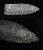 Xア192△アンティーク / 仏陀 / せんぶつ / 全長7.5cmx幅2.5cm / ヴィンテージ /【全国発送OK】_画像6