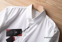 P281/50A(L程度)新品◆シルク混 高品質 長袖 メンズ ビジネス カジュアル薄手シャツ / ホワイト_画像2