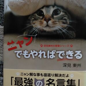 ニャンでもやればできる
