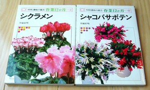 美本 2冊 シャコバサボテン シクラメン NHK 趣味の園芸 作業12ヶ月 平城好明 カラー写真 図版 庭植え 鉢植え サボテン ラクラク園芸 百科