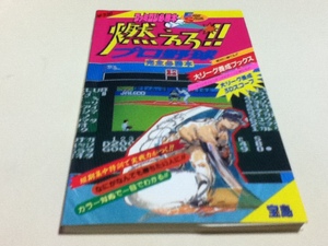 FC Famicom capture book burn .!! Professional Baseball complete certainly .book