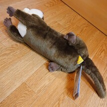 50cm カワウソ ぬいぐるみ sunlemon サンレモン Otter stuffedtoy toy japan グッズ リアル マスコット 置物 飾り ペット コレクション _画像9