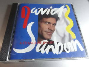 DAVID SANBORN　　　　 デビッドサンボーン　　　　ACHANGE OF HEART