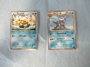 ポケモンカード　ポケカ　ミジュマル　ダイケンキ