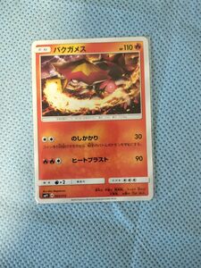 ポケモンカード ポケカ　バクガメス