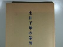 生井子華の篆刻 書籍（のど割れ・背折れ他_画像2