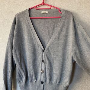 Vネックカーディガン カーディガン シルバー